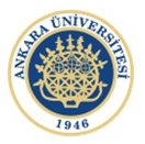 Ankara